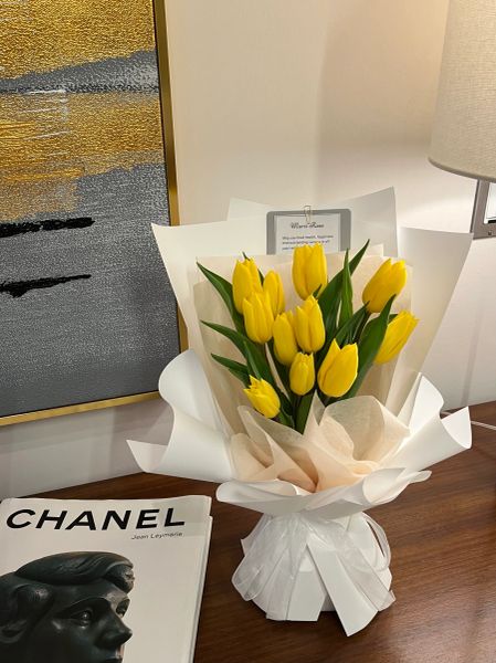 Tulip-yellow-White