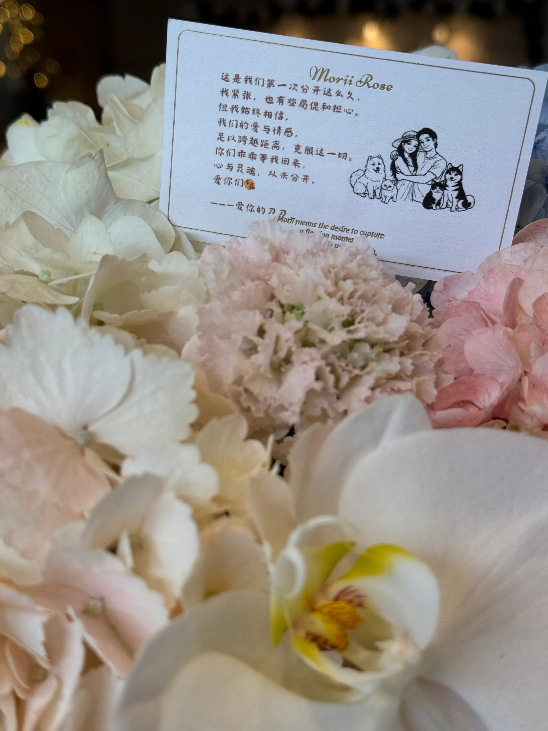 Colorful Hydrangea Basket