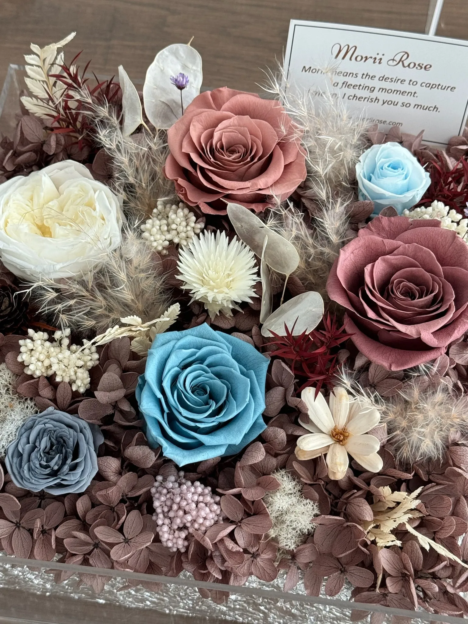 Sand Pink Preserved Flower Box