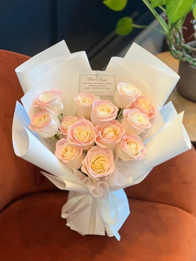 12 pink Rose