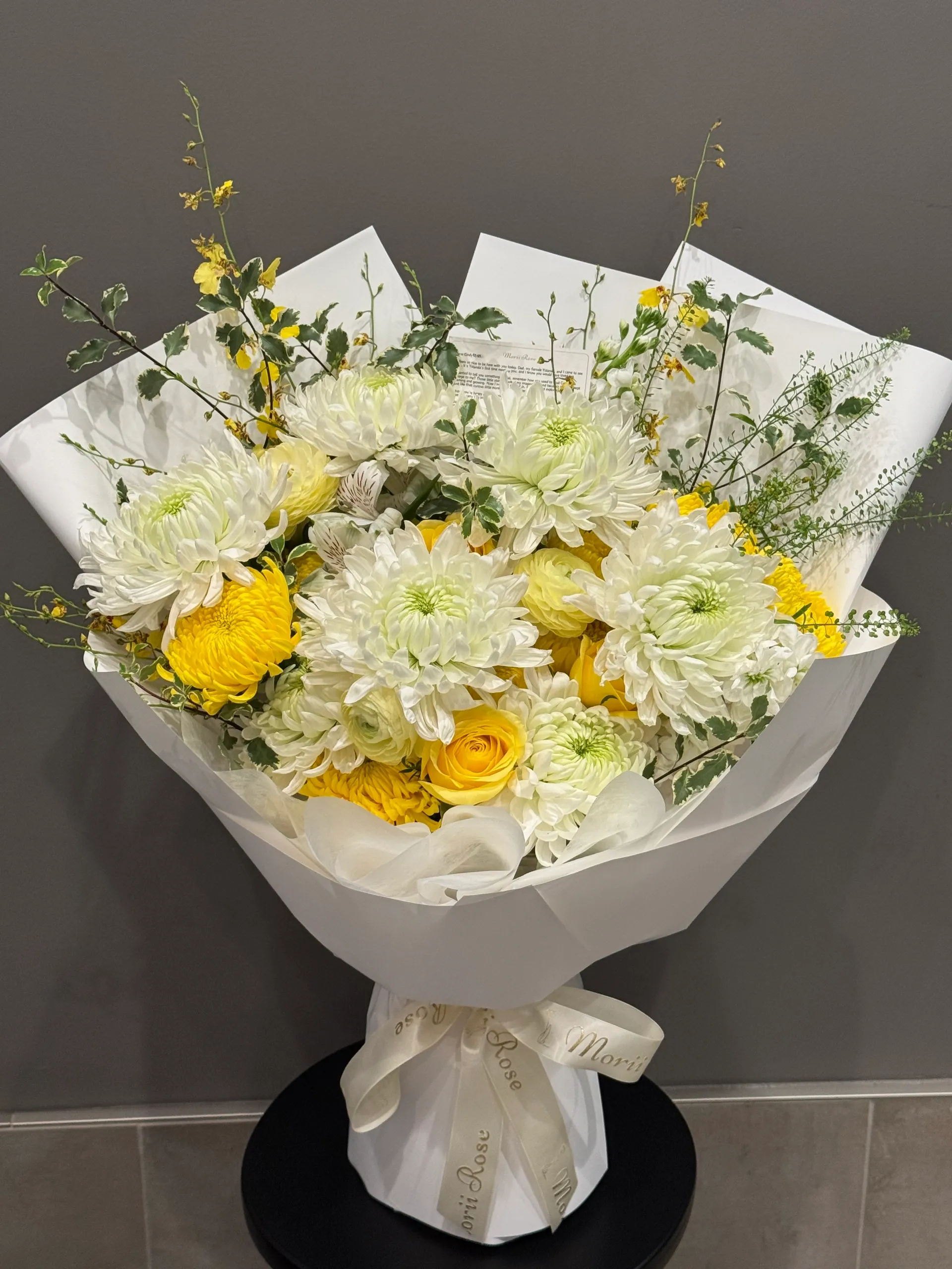 Chrysanthemum & Sunlit Whisper