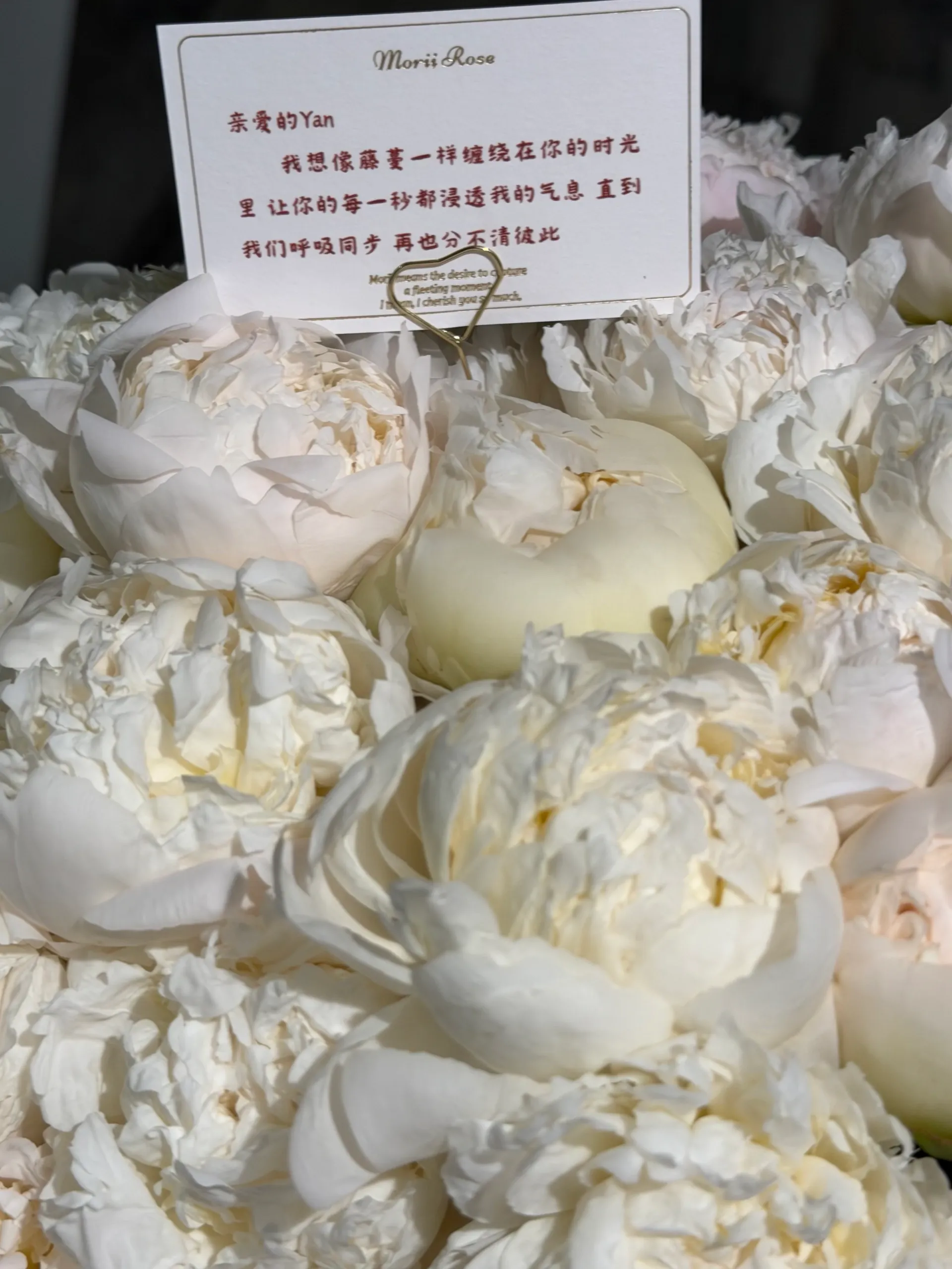 99 White Peony Hug Bucket