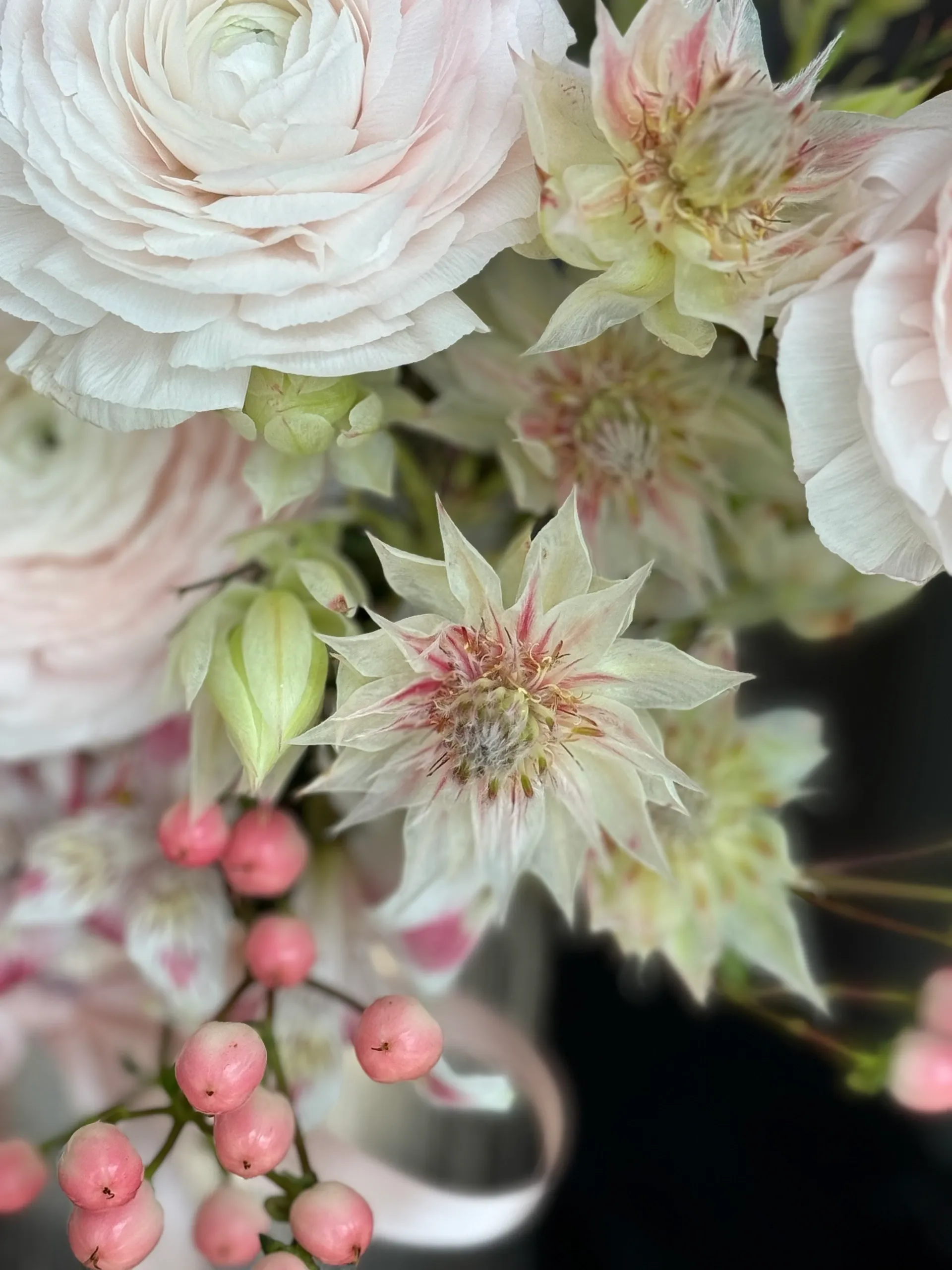 Pink King Protea &Ranunculus Bucket