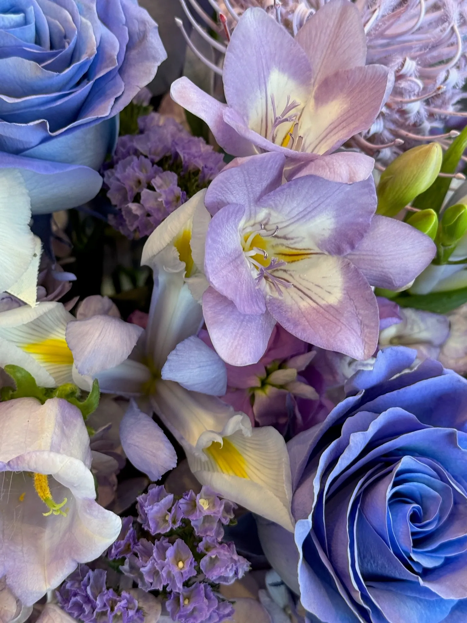 Lavender Bliss