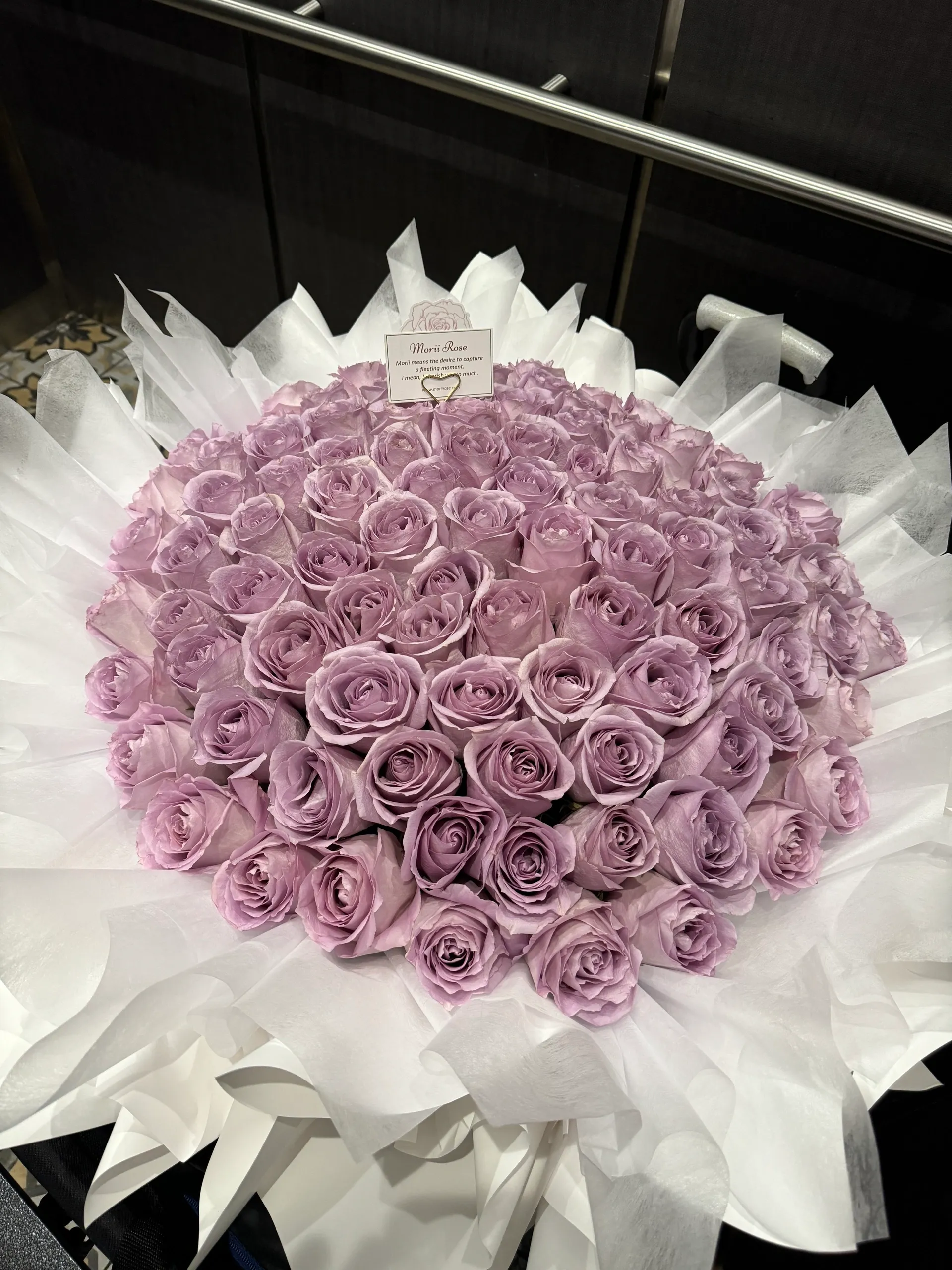 99 Cool Water Roses-White