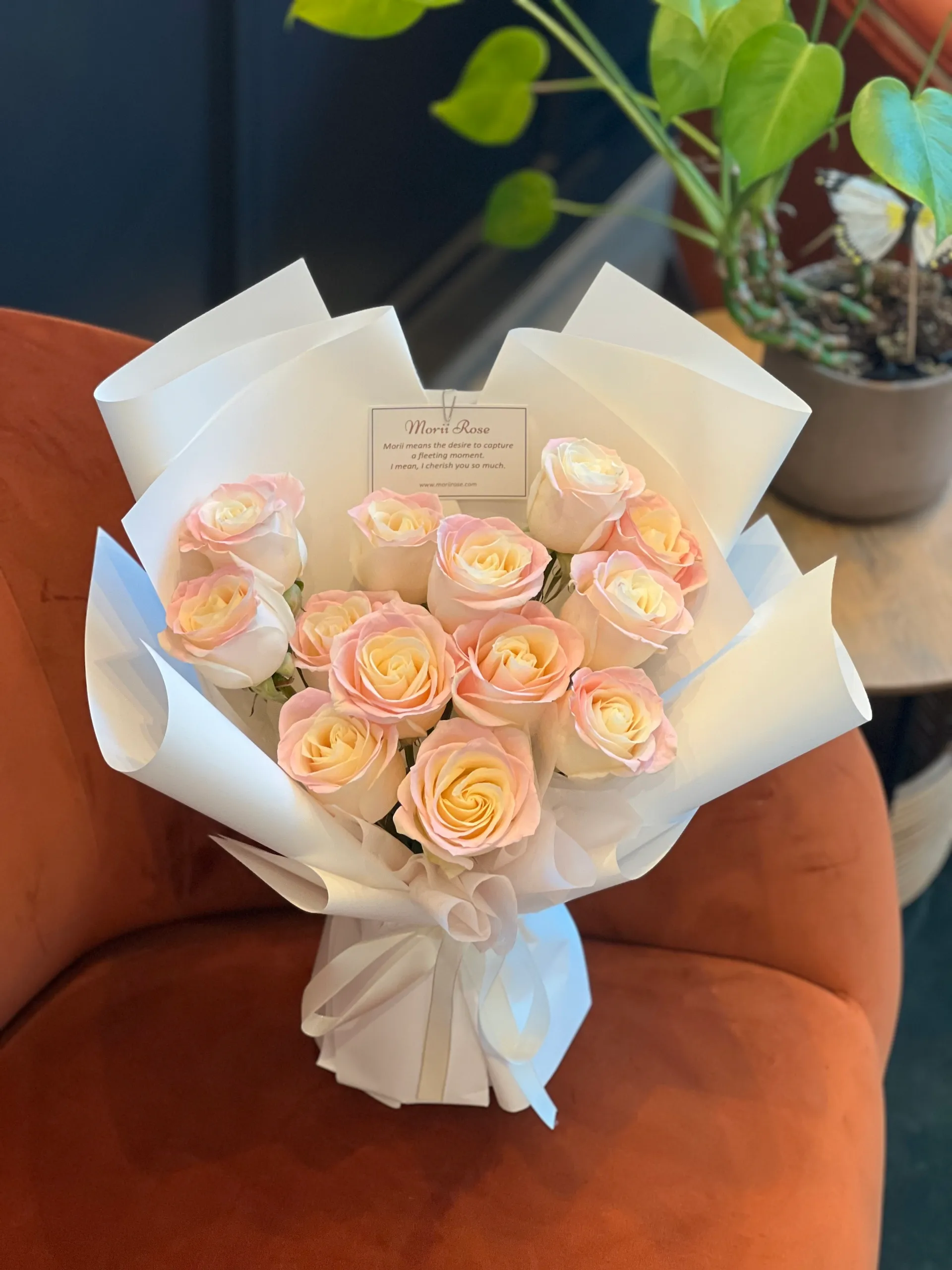 12 pink Rose